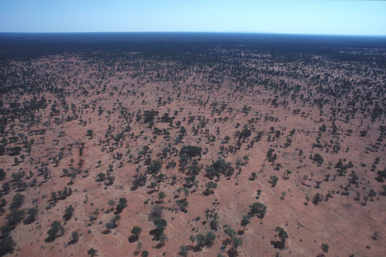 CASA Drone Rules Australia 2026: Rego, RePL & Fines
