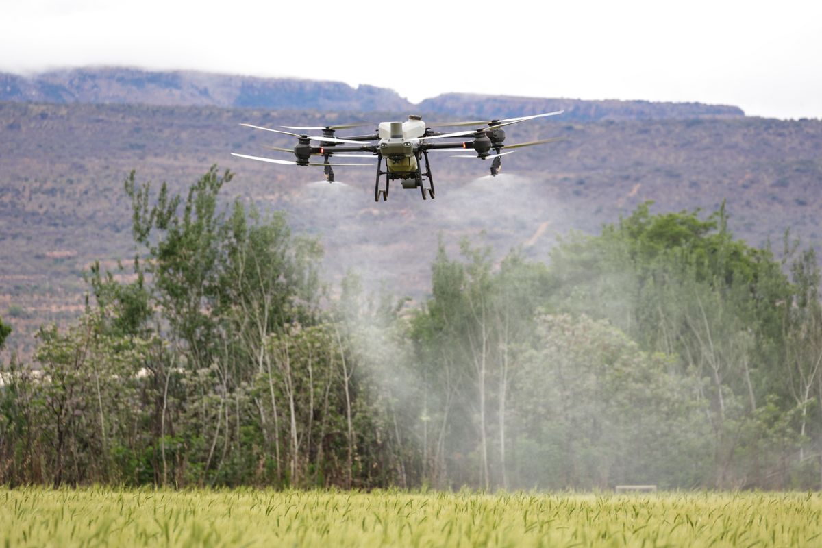Drones de pulverização: Sindiveg lança guia oficial